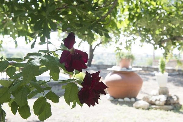 Marianna Mansion Villa Pachna Rom bilde